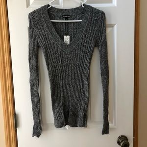NWT EXPRESS Knitted V-neck Long Sleeve
